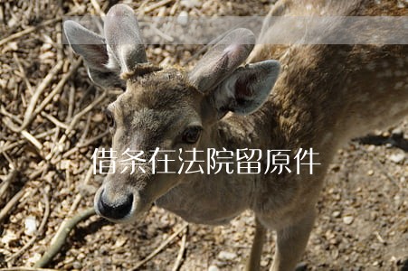 借条在法院留原件 借条在法院留原件
