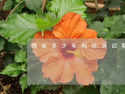 借条多少年有效诉讼期 借条多少年有效诉讼期