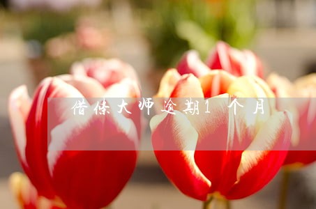 借条大师逾期1个月