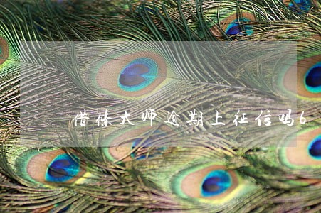 借条大师逾期上征信吗6 借条大师逾期上征信吗6