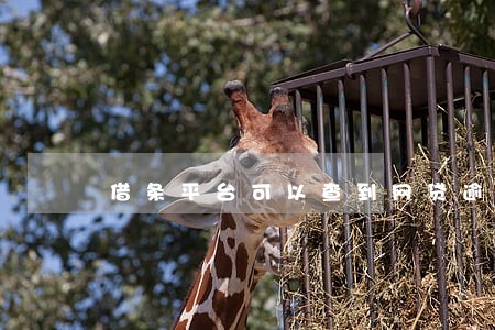 借条平台可以查到网贷逾期吗 借条平台可以查到网贷逾期吗