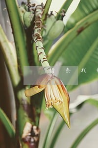 借条找律师要多少钱 借条找律师要多少钱