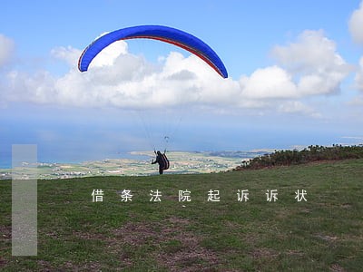 借条法院起诉诉状 借条法院起诉诉状