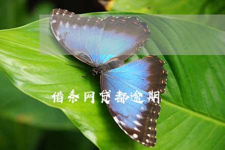 借条网贷都逾期 借条网贷都逾期