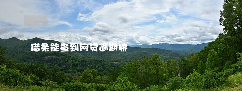 借条能查到网贷逾期嘛 借条能查到网贷逾期嘛