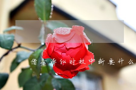 借条诉讼时效中断要什么前提 借条诉讼时效中断要什么前提