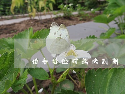 借条诉讼时效快到期