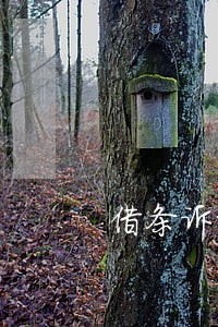 借条诉讼请律师吗