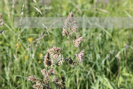 借条逾期3年还有用吗 借条逾期3年还有用吗