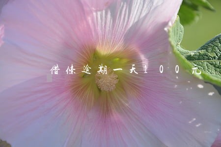 借条逾期一天100元 借条逾期一天100元