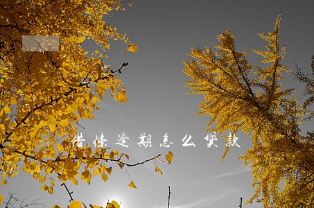 借条逾期怎么贷款 借条逾期怎么贷款