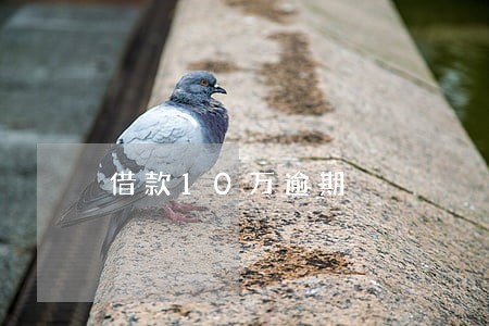 借款10万逾期 借款10万逾期