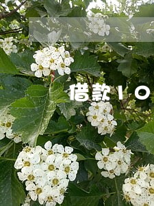 借款10万逾期三个月对方叫协商 借款10万逾期三个月对方叫协商