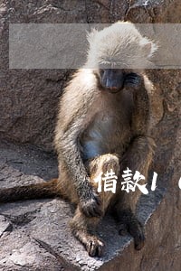 借款10万逾期怎么办 借款10万逾期怎么办