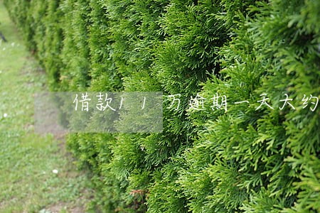 借款11万逾期一天大约多少 借款11万逾期一天大约多少