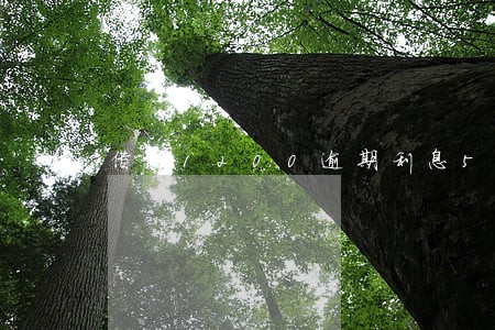 借款1200逾期利息5400 借款1200逾期利息5400