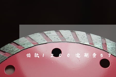 借款1200逾期费570 借款1200逾期费570