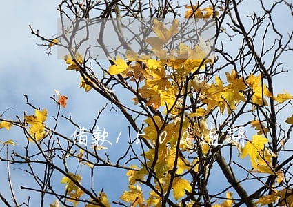 借款1500逾期 借款1500逾期