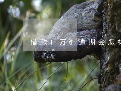 借款1万6逾期会怎样 借款1万6逾期会怎样