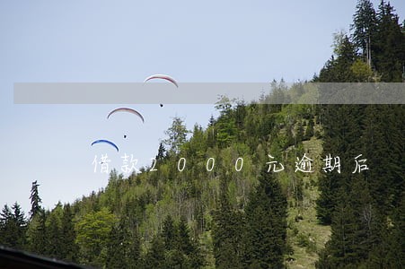借款2000元逾期后