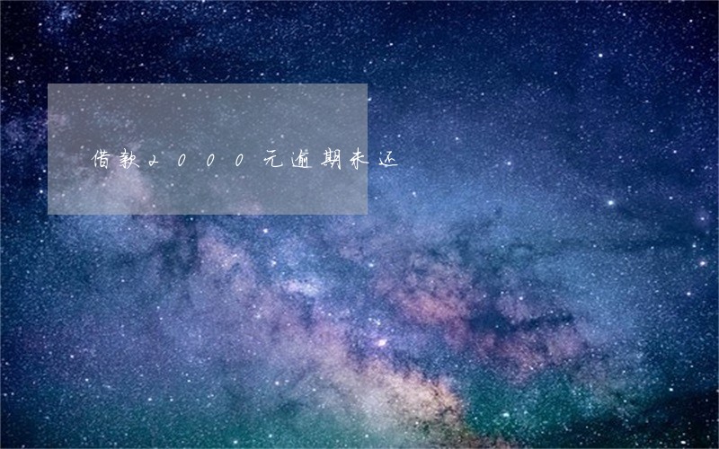 借款2000元逾期未还