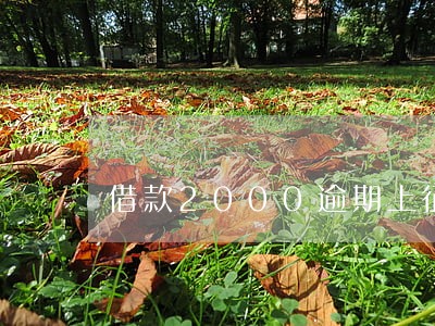 借款2000逾期上征信吗 借款2000逾期上征信吗