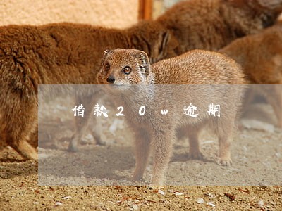 借款20w逾期 借款20w逾期