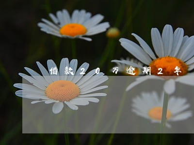 借款20万逾期2年 借款20万逾期2年
