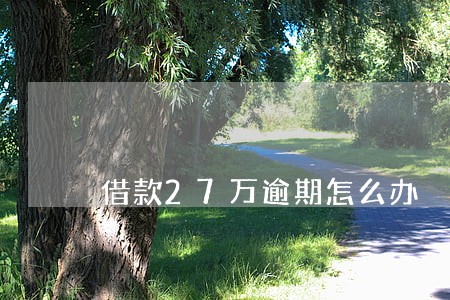 借款27万逾期怎么办 借款27万逾期怎么办
