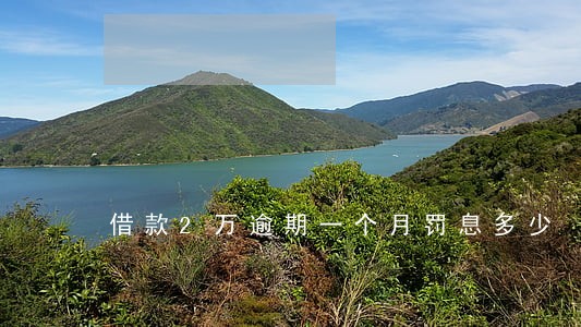 借款2万逾期一个月罚息多少 借款2万逾期一个月罚息多少