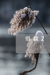 借款2千逾期两年还五千 借款2千逾期两年还五千