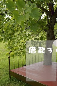 借款3000元逾期 借款3000元逾期