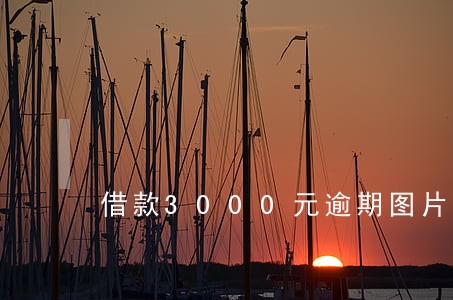 借款3000元逾期图片 借款3000元逾期图片