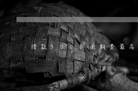 借款3000逾期费最高多少