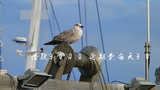 借款3000逾期费每天30 借款3000逾期费每天30