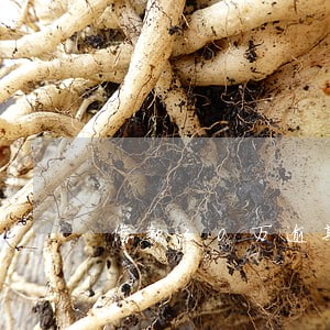 借款30万逾期不还承担责任 借款30万逾期不还承担责任