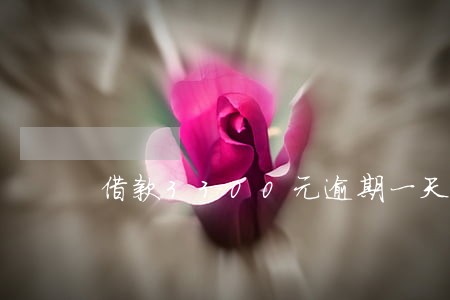 借款3300元逾期一天利息多少 借款3300元逾期一天利息多少