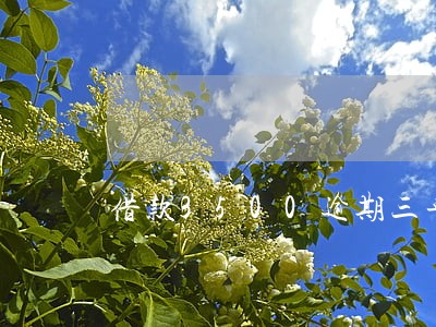 借款3500逾期三年利率是多少 借款3500逾期三年利率是多少