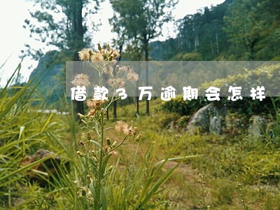 借款3万逾期会怎样 借款3万逾期会怎样