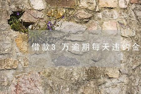 借款3万逾期每天违约金多少