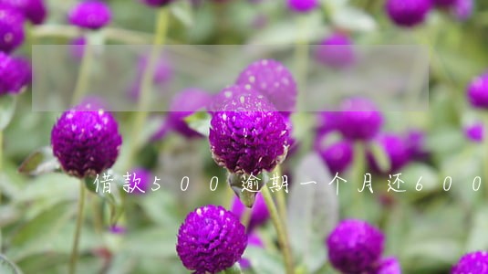 借款500逾期一个月还600 借款500逾期一个月还600