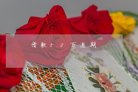 借款50万逾期