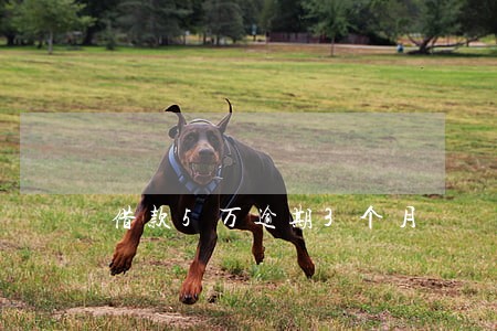 借款5万逾期3个月 借款5万逾期3个月