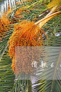 借款6000逾期一年 借款6000逾期一年