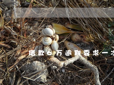 借款6万逾期要求一次结清 借款6万逾期要求一次结清