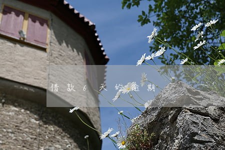 借款6天的逾期 借款6天的逾期