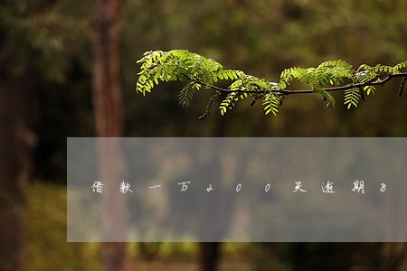 借款一万200天逾期8万 借款一万200天逾期8万