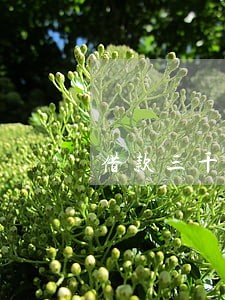 借款三千逾期利息2000 借款三千逾期利息2000