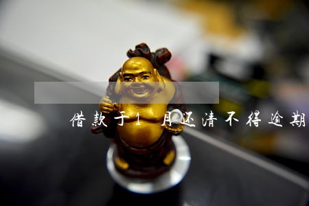 借款于1月还清不得逾期 借款于1月还清不得逾期