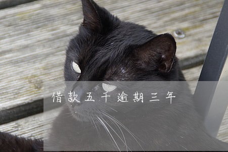 借款五千逾期三年 借款五千逾期三年